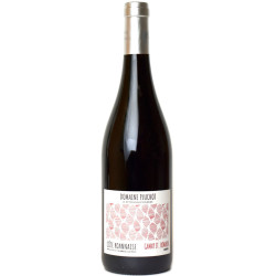 Domaine Pluchot - Arris - Côte Roannaise 2023