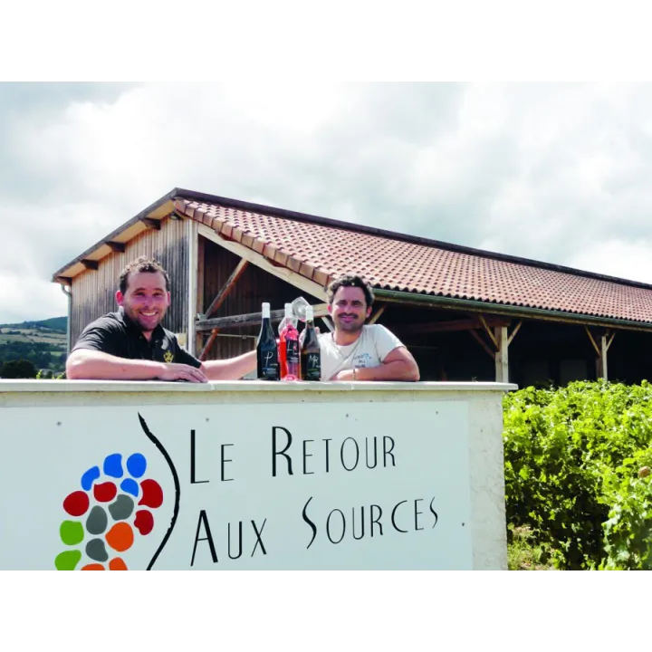 Domaine Pluchot - Arris - Côte Roannaise 2023