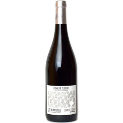 Domaine Pluchot - Le Vignoble - Côte Roannaise 2023