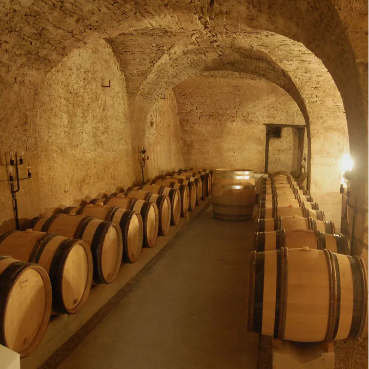 Beaune Villages Rouge 2020