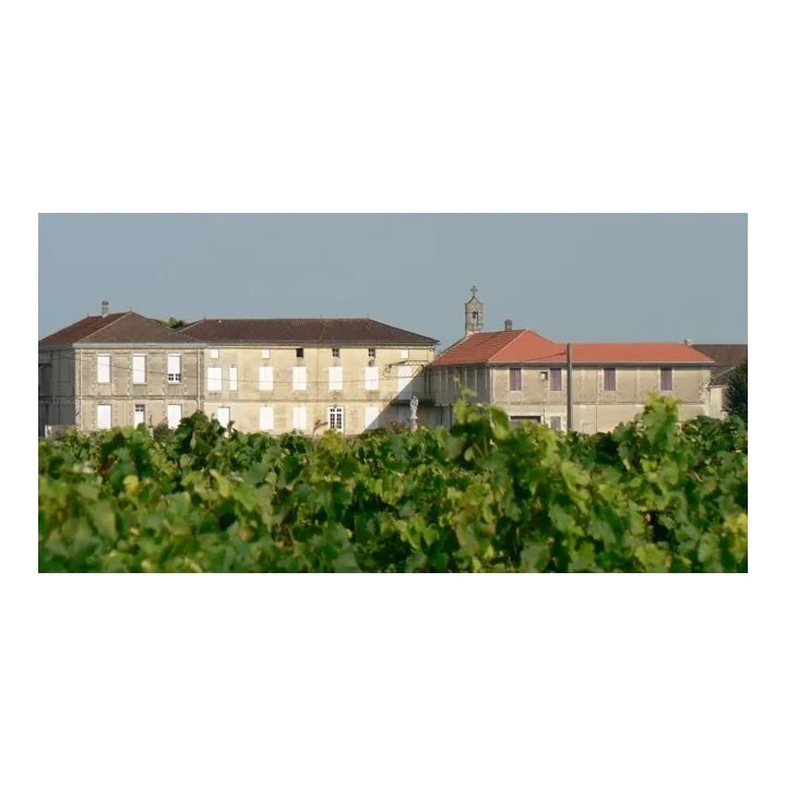Château des Graves 2019