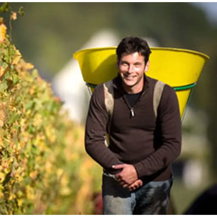 Domaine Grosbois Chinon "La Cuisine de Ma Mère" 2023