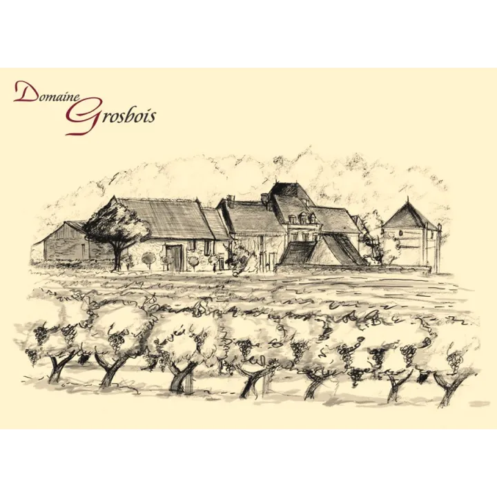 Domaine Grosbois Chinon "La Cuisine de Ma Mère" 2023