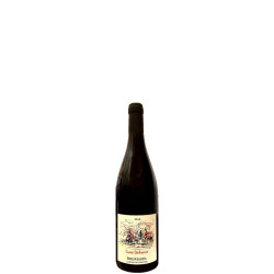 Bourgueil - Cuvée "Déchainée" Bio 2023 37.5cl