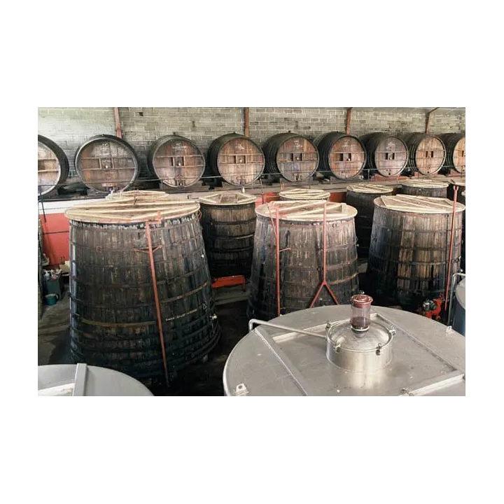 Bourgueil - Cuvée "Déchainée" Bio 2023 37.5cl