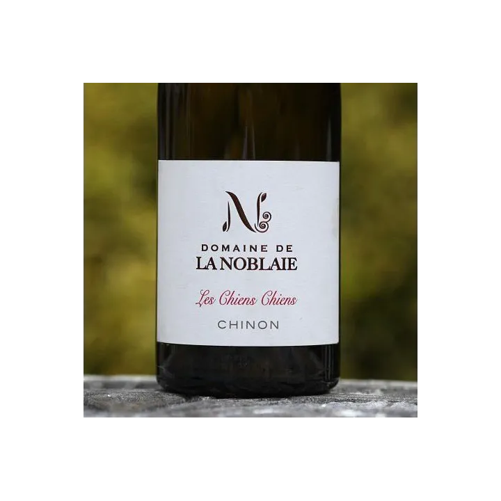 Les Chiens Chiens - Chinon 2021
