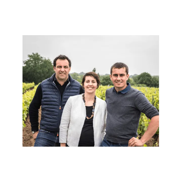 Famille Lieubeau Bel Abord Muscadet Sèvre et Maine sur Lie Bio 2022