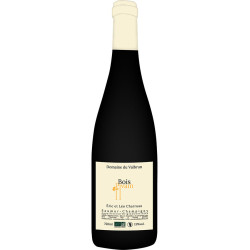 Domaine du Valbrun - Bois Pivain - Saumur Champigny Bio 2023