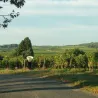 Domaine du Valbrun - Bois Pivain - Saumur Champigny Bio 2023