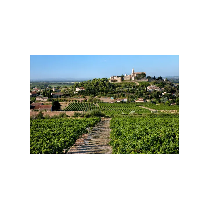 Terre des Cigales - Cairanne Bio 2022