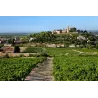 Terre des Cigales - Cairanne Bio 2022