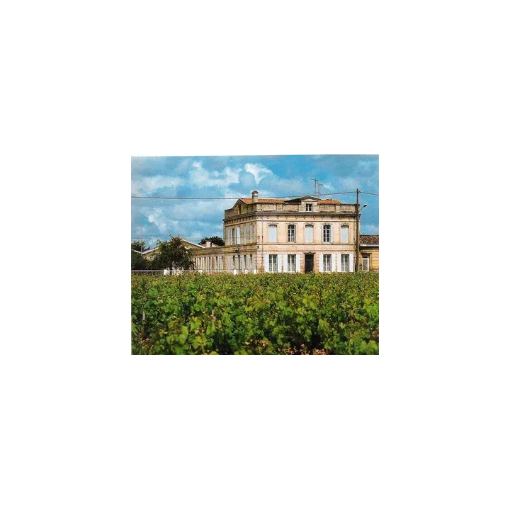 Château Gloria 2019