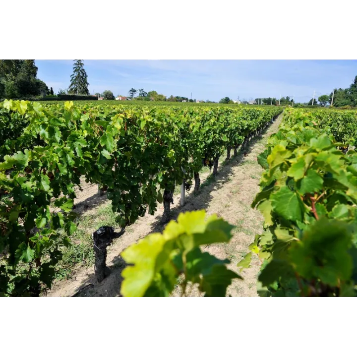 Le Seuil de Mazeyres Pomerol Bio 2019