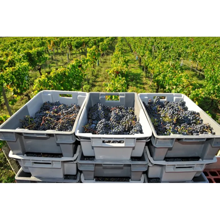 Le Seuil de Mazeyres Pomerol Bio 2019
