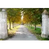 Domaine de la Solitude 2018
