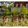Domaine de la Solitude 2018
