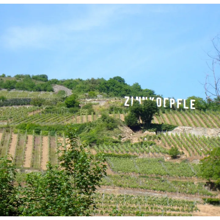 Gewürztraminer - Gd Cru Zinnkoepflé Vendanges Tardives Bio 2018