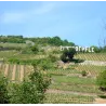 Gewürztraminer - Gd Cru Zinnkoepflé Vendanges Tardives Bio 2018