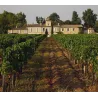 Château Gazin 2018