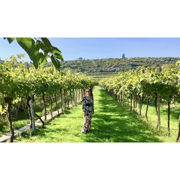 Gran Passione Amarone della Valpolicella DOCG 2019