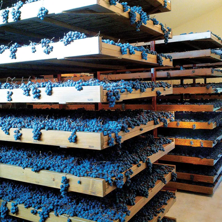 Gran Passione Amarone della Valpolicella DOCG 2019