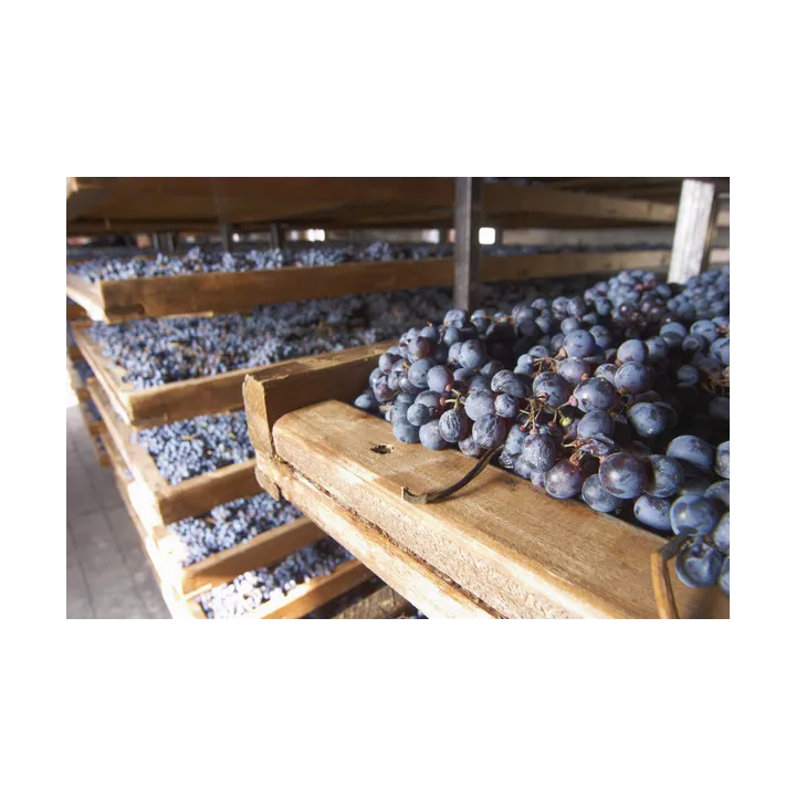 Gran Passione Amarone della Valpolicella DOCG 2019
