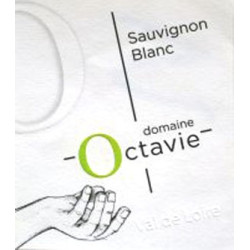 Touraine Sauvignon 2023