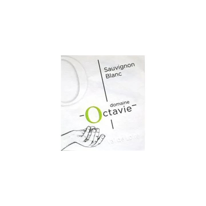 Touraine Sauvignon 2023