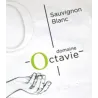 Touraine Sauvignon 2023