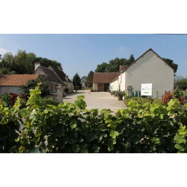 Touraine Sauvignon 2023
