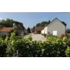 Touraine Sauvignon 2023