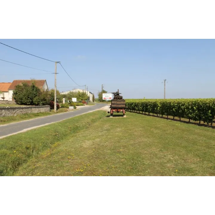 Touraine Sauvignon 2023