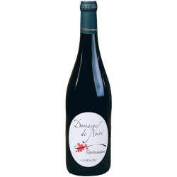 Chinon Rouge "Soif de Tendresse" 2023