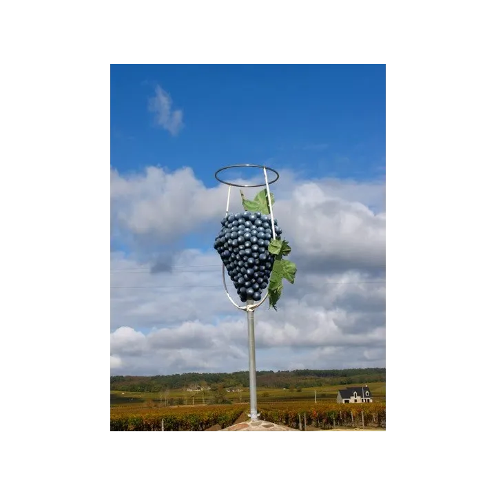 Chinon Rouge "Soif de Tendresse" 2023