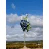 Chinon Rouge "Soif de Tendresse" 2023
