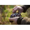 La Belle d'Aunis Côteaux du Loir (Bio) 2022