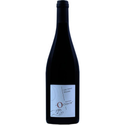 Touraine Pinot Noir "Les Vieux Moines" 2023