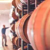 Barbera d'Asti supérior DOCG 2020