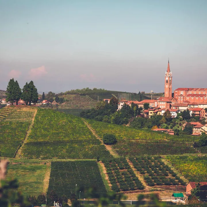 Gavi DOCG Piemonte 2023