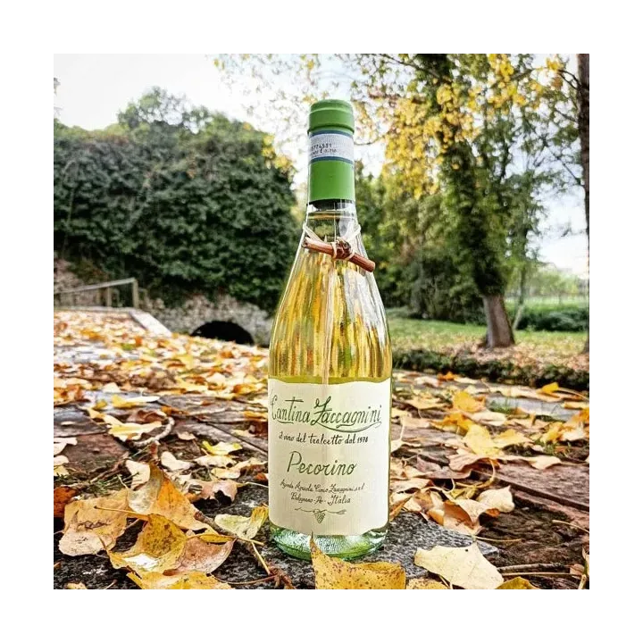 Tralceto Abruzzo Pecorino DOC 2023