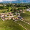 Tralceto Abruzzo Pecorino DOC 2023