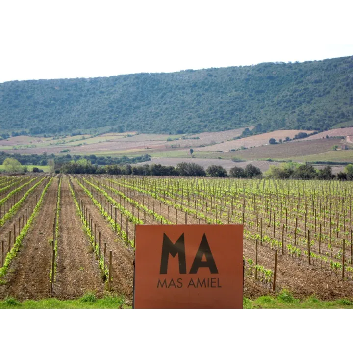 Mas Amiel - Vertigo Blanc Biody 2023