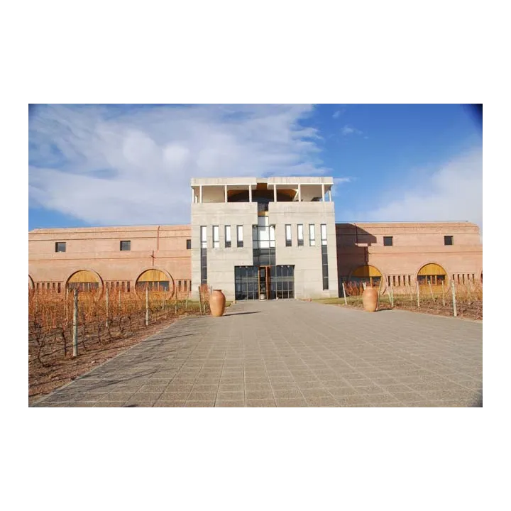 Clos de los Siete 2021