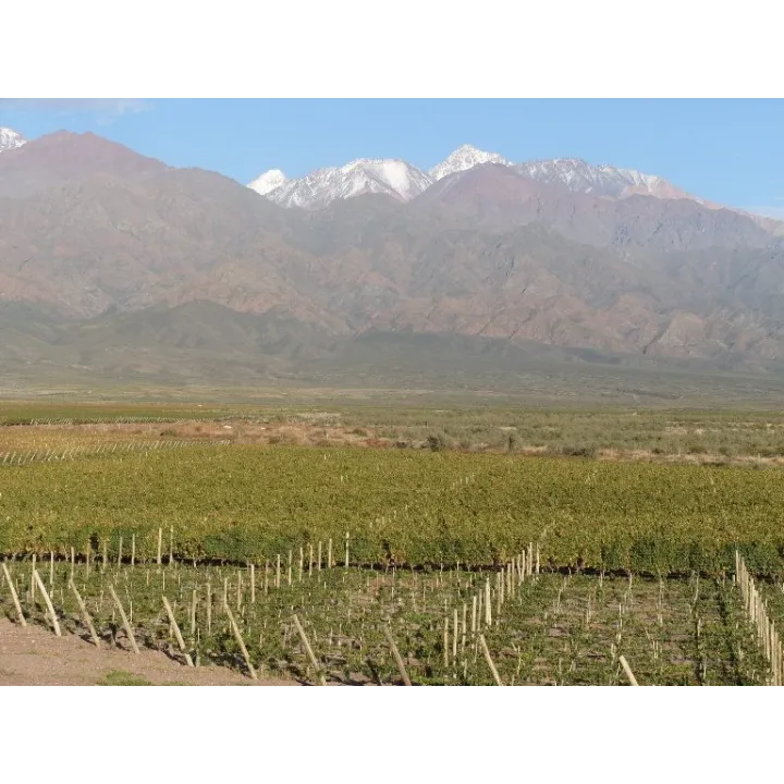 Clos de los Siete 2021