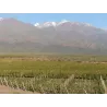 Clos de los Siete 2021