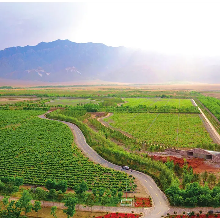 Chi Wen Legacy Peak - Ningxia 2022