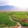 Chi Wen Legacy Peak - Ningxia 2022