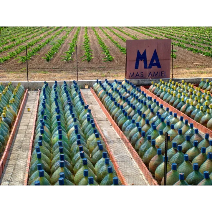 Mas Amiel - Muscat 2023
