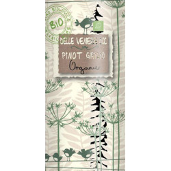 Uccellini Pinot Grigio delle Venezie DOC Organic 2024