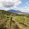 Lapilli Greco di Tufo DOCG Campania 2024